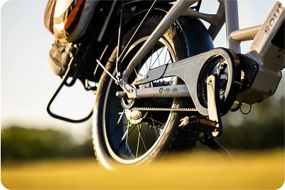 E-bike with golf bag rack close up